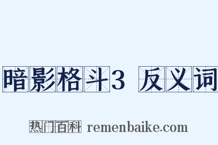 暗影格斗3反义词是什么意思的图片